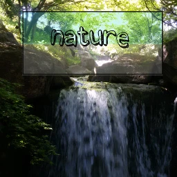 waptextbox nature cute vote forest
