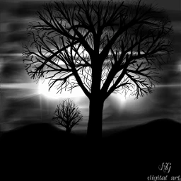 wdptreeline dark tree black white